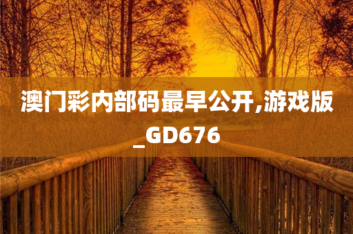 澳门彩内部码最早公开,游戏版_GD676