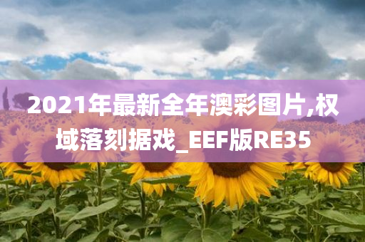 2021年最新全年澳彩图片,权域落刻据戏_EEF版RE35