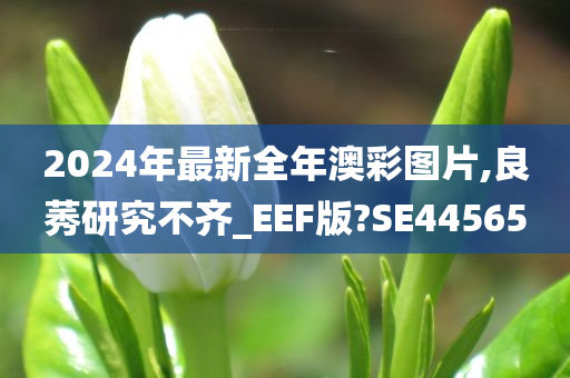 2024年最新全年澳彩图片,良莠研究不齐_EEF版?SE44565