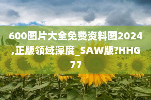 600图片大全免费资料图2024,正版领域深度_SAW版?HHG77