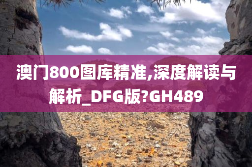 澳门800图库精准,深度解读与解析_DFG版?GH489