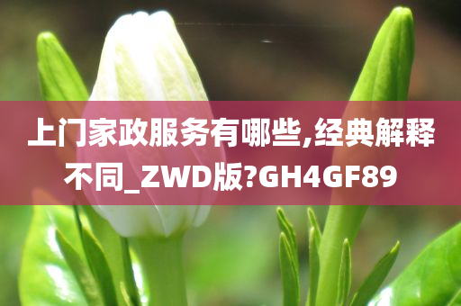 上门家政服务有哪些,经典解释不同_ZWD版?GH4GF89