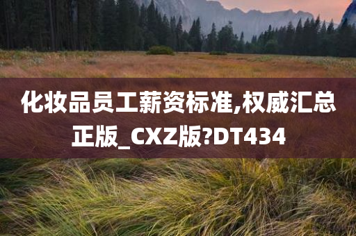 化妆品员工薪资标准,权威汇总正版_CXZ版?DT434