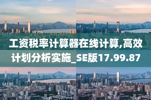 工资税率计算器在线计算,高效计划分析实施_SE版17.99.87