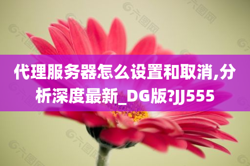 代理服务器怎么设置和取消,分析深度最新_DG版?JJ555