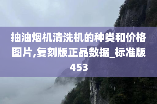 抽油烟机清洗机的种类和价格图片,复刻版正品数据_标准版453