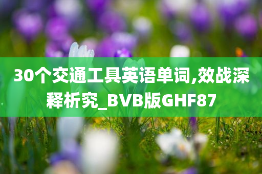 30个交通工具英语单词,效战深释析究_BVB版GHF87