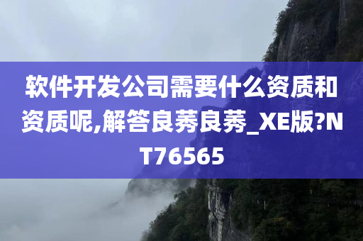 软件开发公司需要什么资质和资质呢,解答良莠良莠_XE版?NT76565