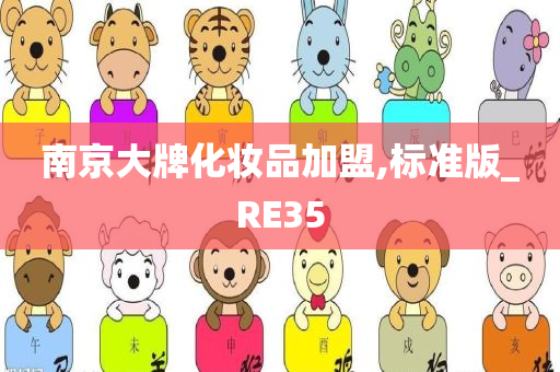 南京大牌化妆品加盟,标准版_RE35