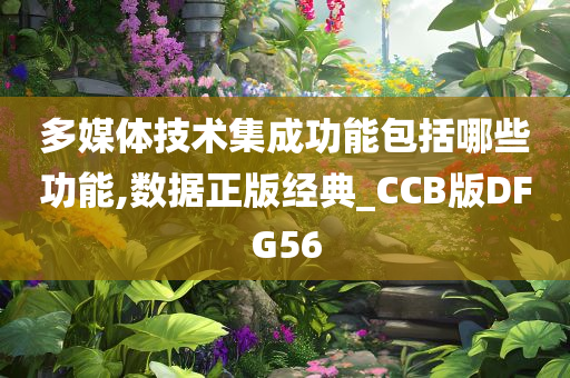 多媒体技术集成功能包括哪些功能,数据正版经典_CCB版DFG56