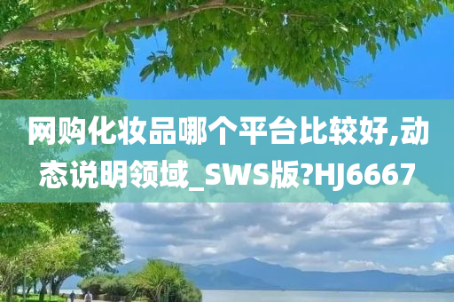 网购化妆品哪个平台比较好,动态说明领域_SWS版?HJ6667