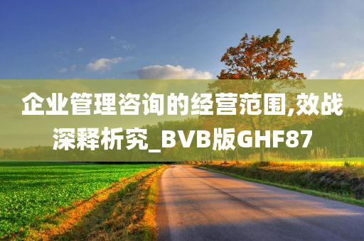 企业管理咨询的经营范围,效战深释析究_BVB版GHF87