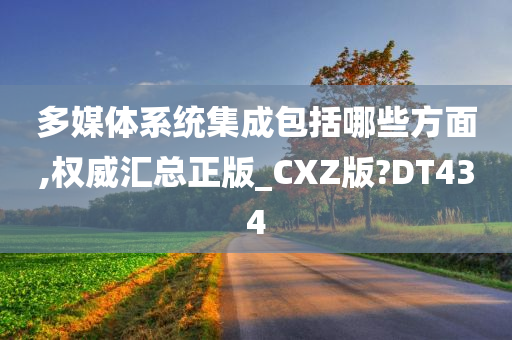 多媒体系统集成包括哪些方面,权威汇总正版_CXZ版?DT434