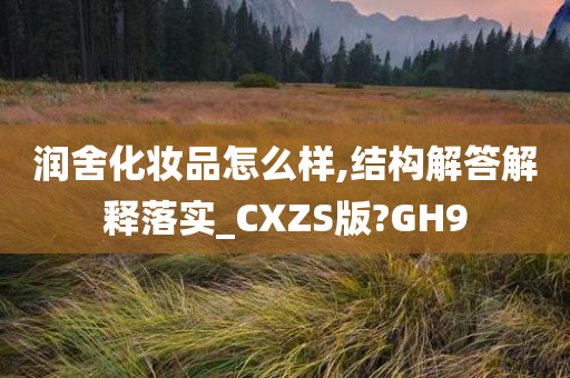 润舍化妆品怎么样,结构解答解释落实_CXZS版?GH9