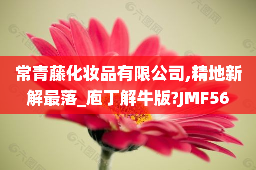 常青藤化妆品有限公司,精地新解最落_庖丁解牛版?JMF56