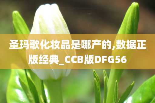 圣玛歌化妆品是哪产的,数据正版经典_CCB版DFG56