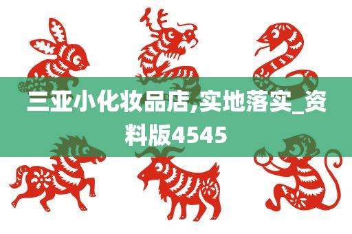 三亚小化妆品店,实地落实_资料版4545