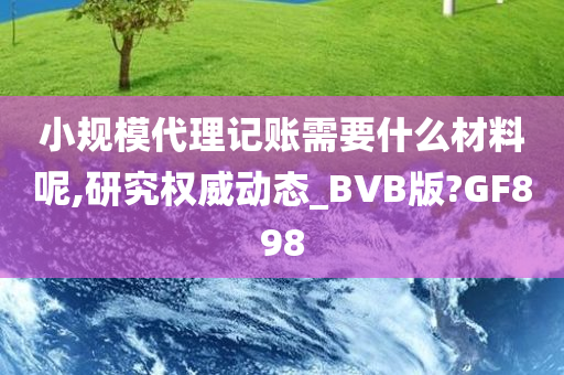 小规模代理记账需要什么材料呢,研究权威动态_BVB版?GF898