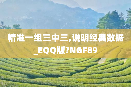 精准一组三中三,说明经典数据_EQQ版?NGF89