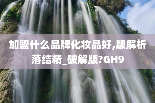 加盟什么品牌化妆品好,版解析落结精_破解版?GH9