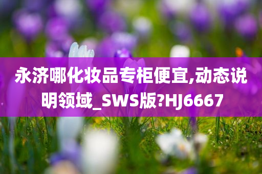 永济哪化妆品专柜便宜,动态说明领域_SWS版?HJ6667