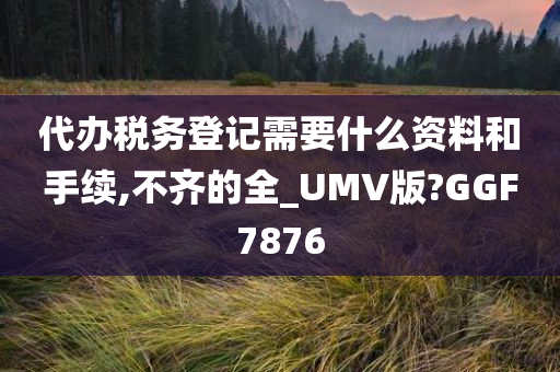 代办税务登记需要什么资料和手续,不齐的全_UMV版?GGF7876