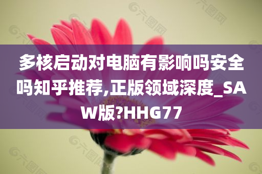 多核启动对电脑有影响吗安全吗知乎推荐,正版领域深度_SAW版?HHG77