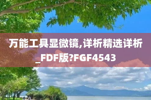 万能工具显微镜,详析精选详析_FDF版?FGF4543