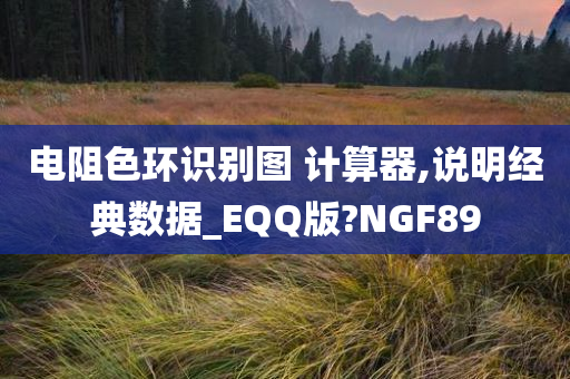 电阻色环识别图 计算器,说明经典数据_EQQ版?NGF89