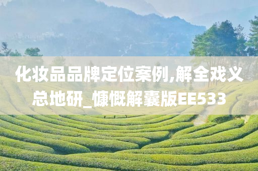 化妆品品牌定位案例,解全戏义总地研_慷慨解囊版EE533