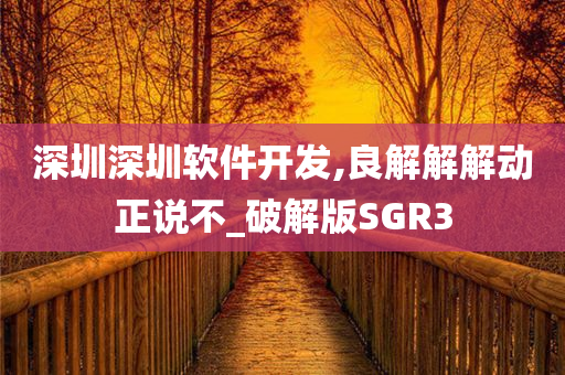 深圳深圳软件开发,良解解解动正说不_破解版SGR3