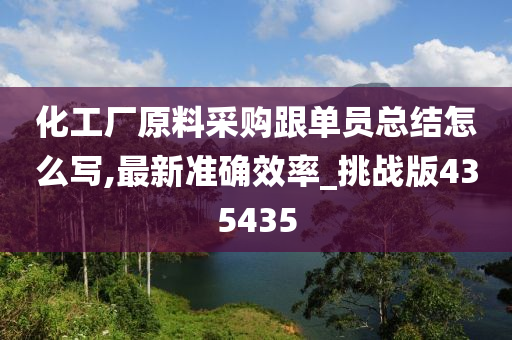 化工厂原料采购跟单员总结怎么写,最新准确效率_挑战版435435