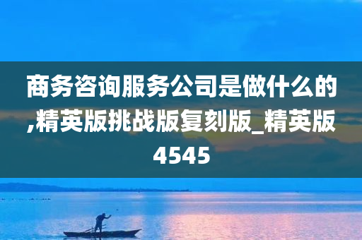 商务咨询服务公司是做什么的,精英版挑战版复刻版_精英版4545