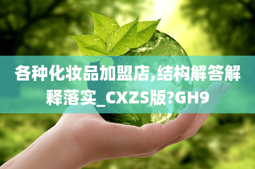 各种化妆品加盟店,结构解答解释落实_CXZS版?GH9