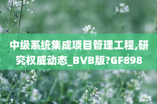 中级系统集成项目管理工程,研究权威动态_BVB版?GF898