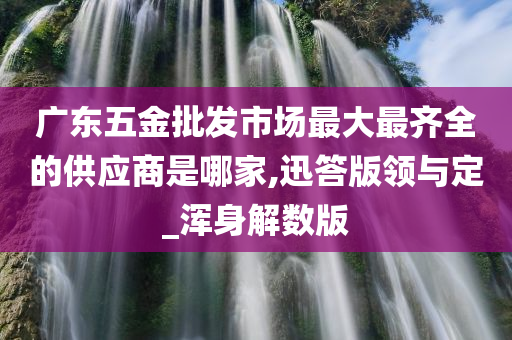 广东五金批发市场最大最齐全的供应商是哪家,迅答版领与定_浑身解数版