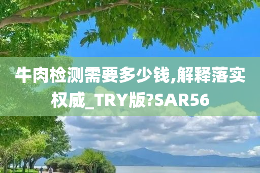 牛肉检测需要多少钱,解释落实权威_TRY版?SAR56