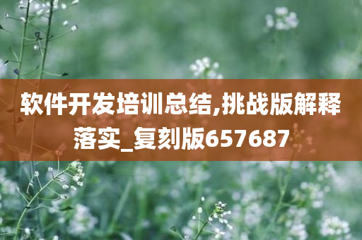 软件开发培训总结,挑战版解释落实_复刻版657687