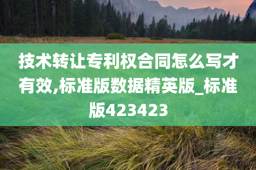 技术转让专利权合同怎么写才有效,标准版数据精英版_标准版423423