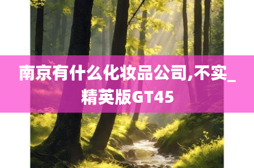 南京有什么化妆品公司,不实_精英版GT45