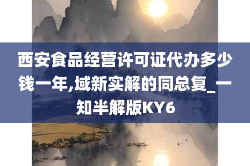 西安食品经营许可证代办多少钱一年,域新实解的同总复_一知半解版KY6