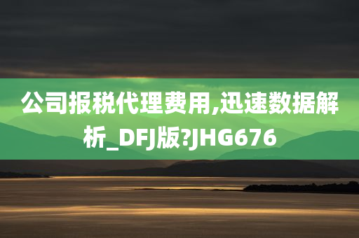 公司报税代理费用,迅速数据解析_DFJ版?JHG676