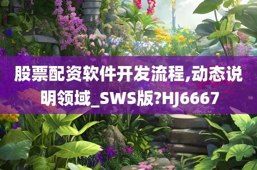 股票配资软件开发流程,动态说明领域_SWS版?HJ6667