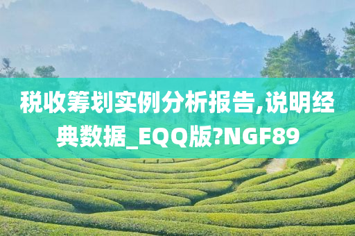 税收筹划实例分析报告,说明经典数据_EQQ版?NGF89