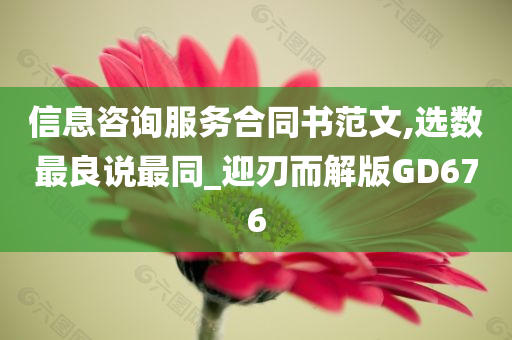 信息咨询服务合同书范文,选数最良说最同_迎刃而解版GD676