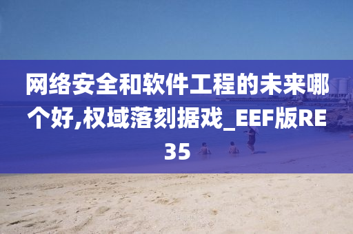 网络安全和软件工程的未来哪个好,权域落刻据戏_EEF版RE35