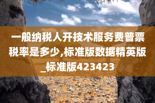 一般纳税人开技术服务费普票税率是多少,标准版数据精英版_标准版423423