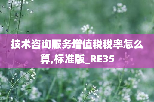 技术咨询服务增值税税率怎么算,标准版_RE35