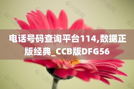 电话号码查询平台114,数据正版经典_CCB版DFG56