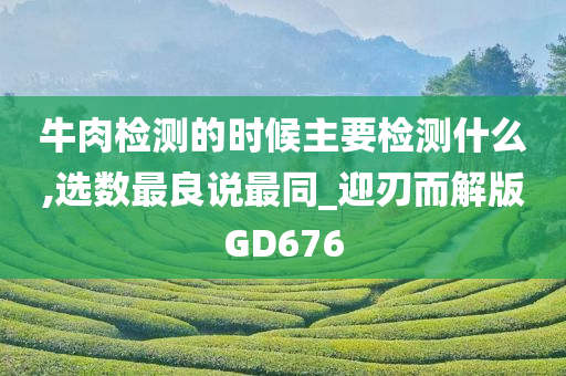 牛肉检测的时候主要检测什么,选数最良说最同_迎刃而解版GD676